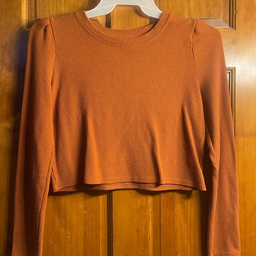 Long Sleeve Crop Top